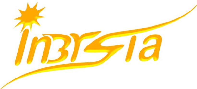 in3rsia logo